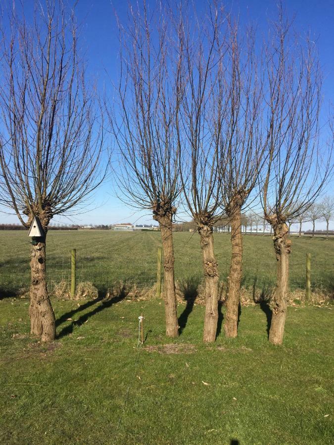 WijdenesLekerweg 32公寓 外观 照片