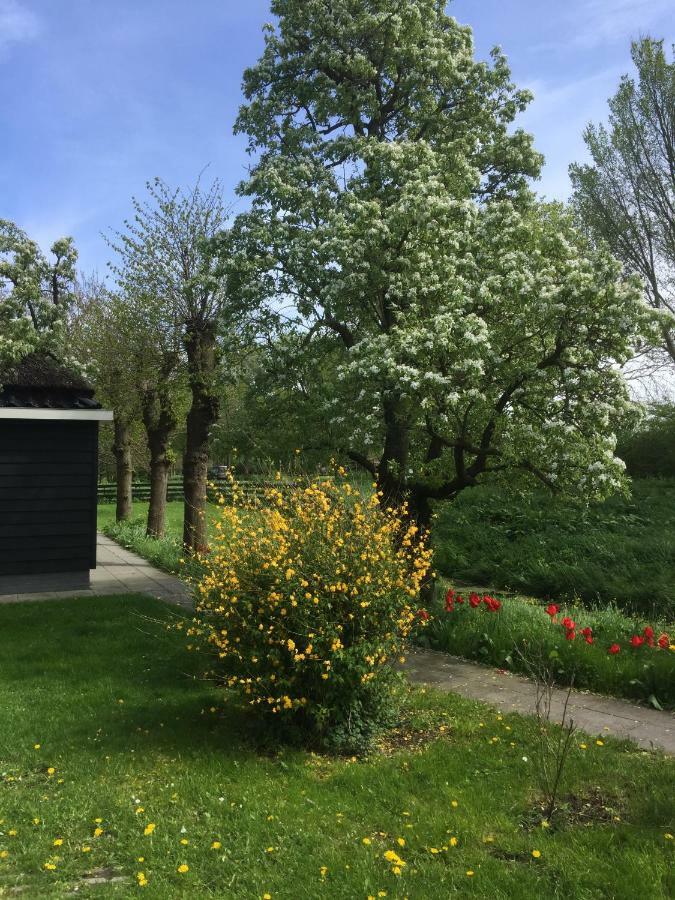 WijdenesLekerweg 32公寓 外观 照片