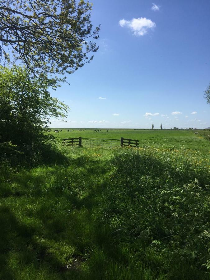 WijdenesLekerweg 32公寓 外观 照片